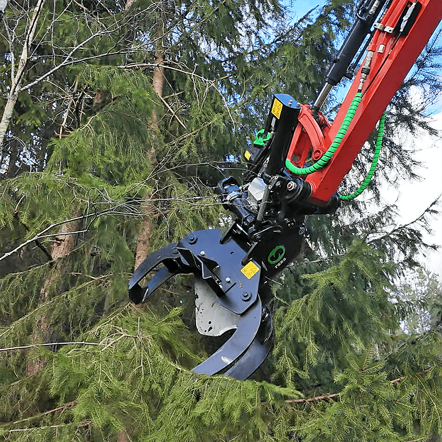 Medžių giliotia - Image 6